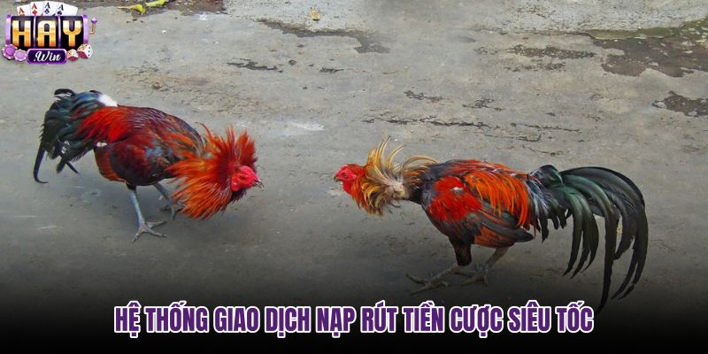 he-thong-giao-dich-nap-rut-tien-cuoc-sieu-toc he-thong-giao-dich-nap-rut-tien-cuoc-sieu-toc
